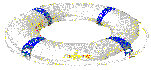 FlagShip Lifesaver Graphic
